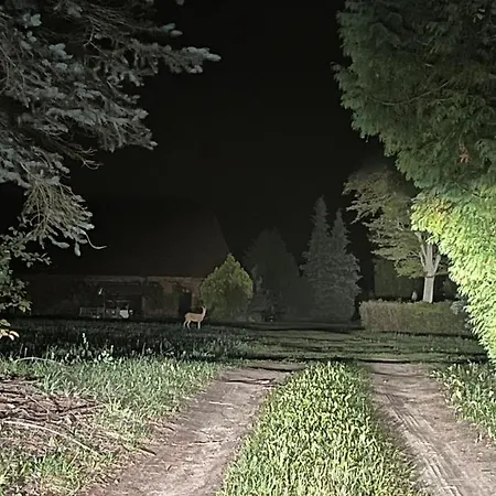 W Zabytkowej Stajni Nad Jeziorem Z Dostepem Do Parku I Sasiedztwem Xix Wiecznego Dworku Modrzewiowego Szteklin