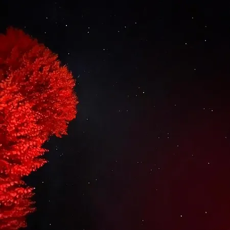 W Zabytkowej Stajni Nad Jeziorem Z Dostepem Do Parku I Sasiedztwem Xix Wiecznego Dworku Modrzewiowego * Szteklin