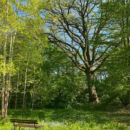 W Zabytkowej Stajni Nad Jeziorem Z Dostepem Do Parku I Sasiedztwem Xix Wiecznego Dworku Modrzewiowego