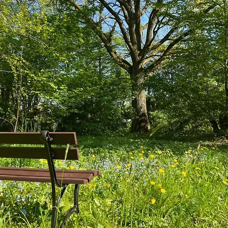 W Zabytkowej Stajni Nad Jeziorem Z Dostepem Do Parku I Sasiedztwem Xix Wiecznego Dworku Modrzewiowego Szteklin