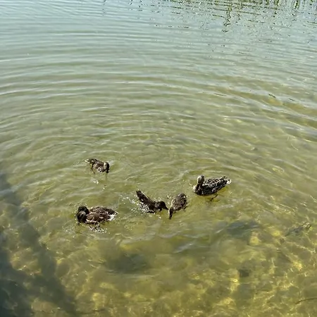 W Zabytkowej Stajni Nad Jeziorem Z Dostepem Do Parku I Sasiedztwem Xix Wiecznego Dworku Modrzewiowego * Szteklin
