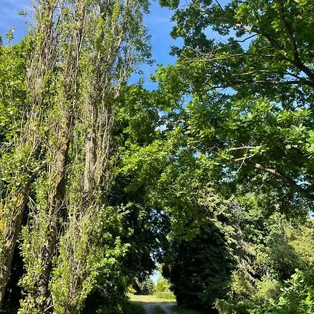 Lodge W Zabytkowej Stajni Nad Jeziorem Z Dostepem Do Parku I Sasiedztwem Xix Wiecznego Dworku Modrzewiowego *