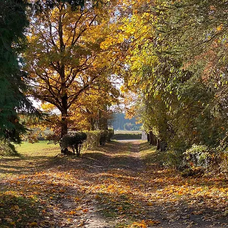 W Zabytkowej Stajni Nad Jeziorem Z Dostepem Do Parku I Sasiedztwem Xix Wiecznego Dworku Modrzewiowego * Szteklin