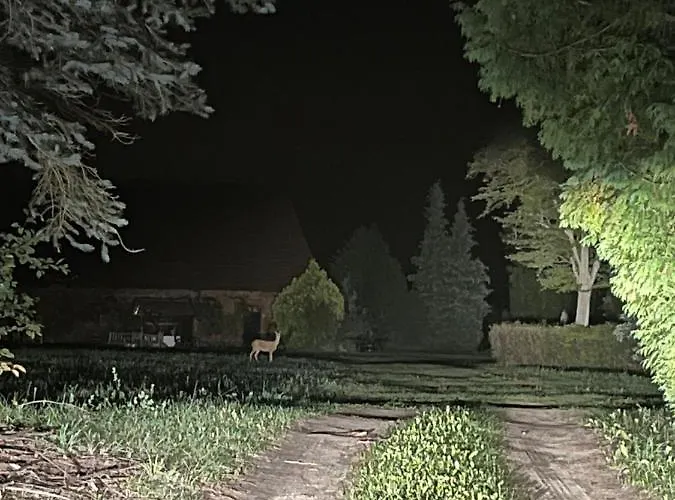 W Zabytkowej Stajni Nad Jeziorem Z Dostepem Do Parku I Sasiedztwem Xix Wiecznego Dworku Modrzewiowego Szteklin