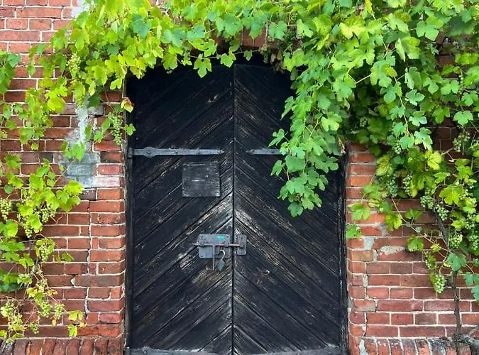 W Zabytkowej Stajni Nad Jeziorem Z Dostepem Do Parku I Sasiedztwem Xix Wiecznego Dworku Modrzewiowego Chata *