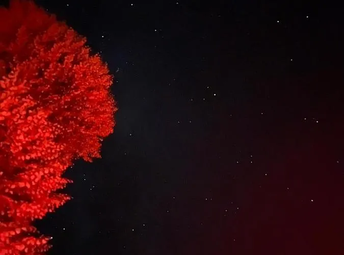 W Zabytkowej Stajni Nad Jeziorem Z Dostepem Do Parku I Sasiedztwem Xix Wiecznego Dworku Modrzewiowego * Szteklin