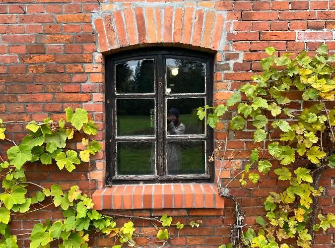 W Zabytkowej Stajni Nad Jeziorem Z Dostepem Do Parku I Sasiedztwem Xix Wiecznego Dworku Modrzewiowego Orman Evi *