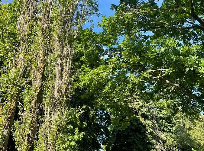 Chata W Zabytkowej Stajni Nad Jeziorem Z Dostepem Do Parku I Sasiedztwem Xix Wiecznego Dworku Modrzewiowego *