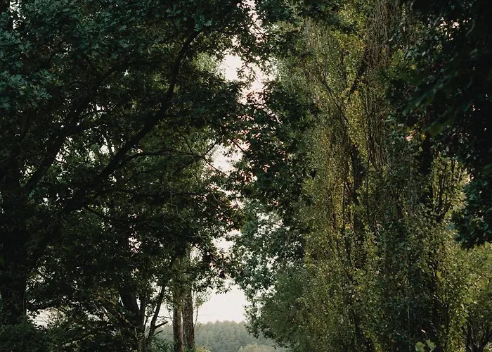 Chata W Zabytkowej Stajni Nad Jeziorem Z Dostepem Do Parku I Sasiedztwem Xix Wiecznego Dworku Modrzewiowego *
