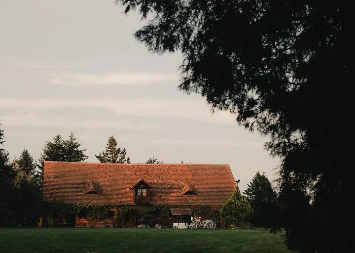 W Zabytkowej Stajni Nad Jeziorem Z Dostepem Do Parku I Sasiedztwem Xix Wiecznego Dworku Modrzewiowego Chata