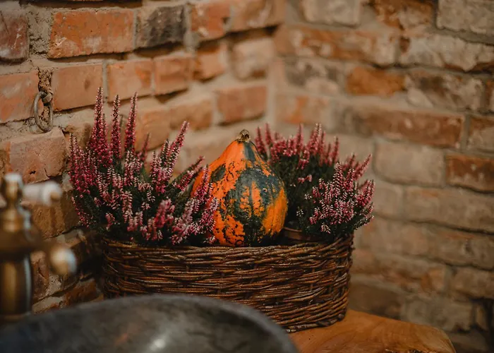 Chata W Zabytkowej Stajni Nad Jeziorem Z Dostepem Do Parku I Sasiedztwem Xix Wiecznego Dworku Modrzewiowego *